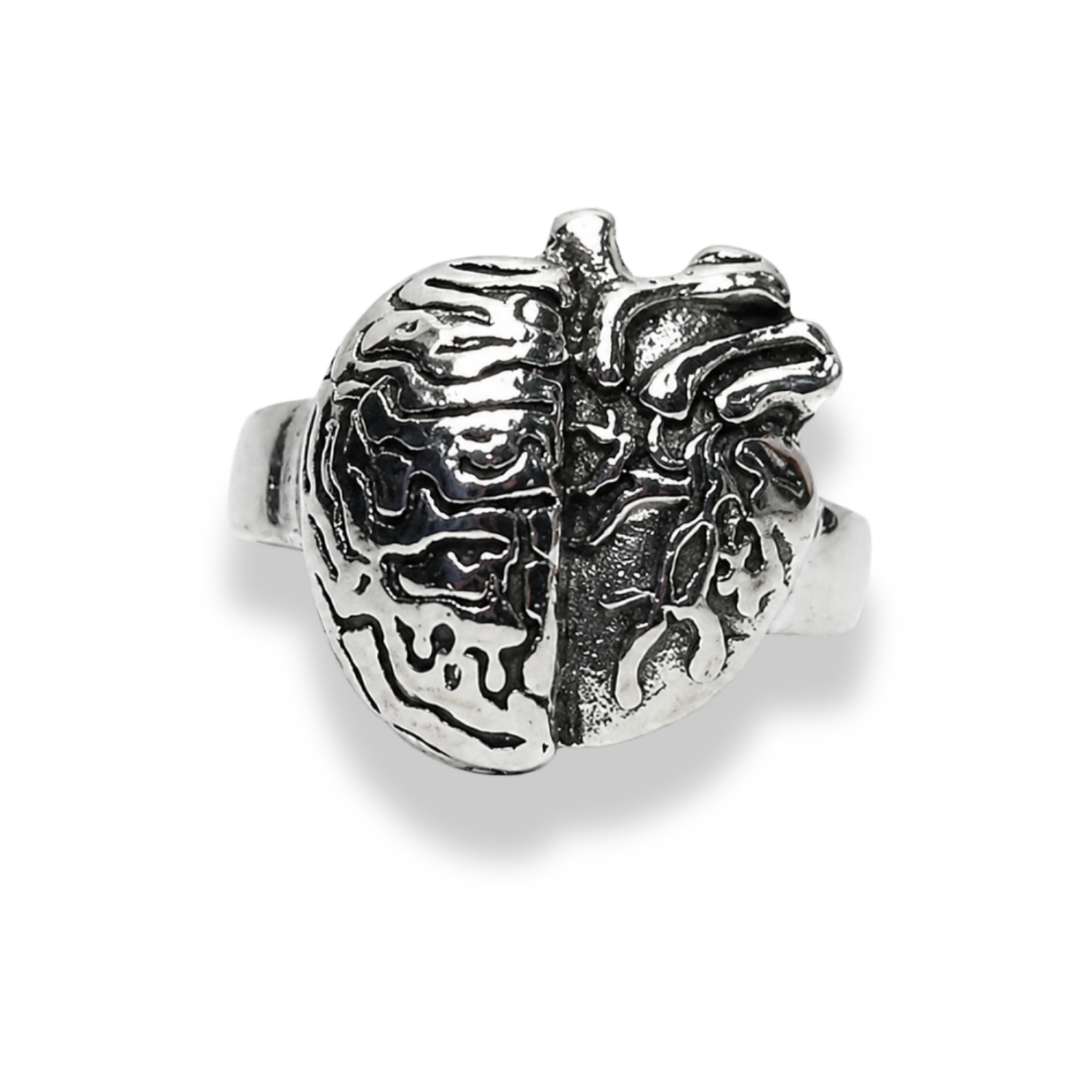 Brain and Heart