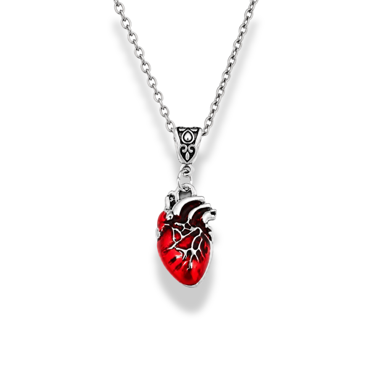Human Heart