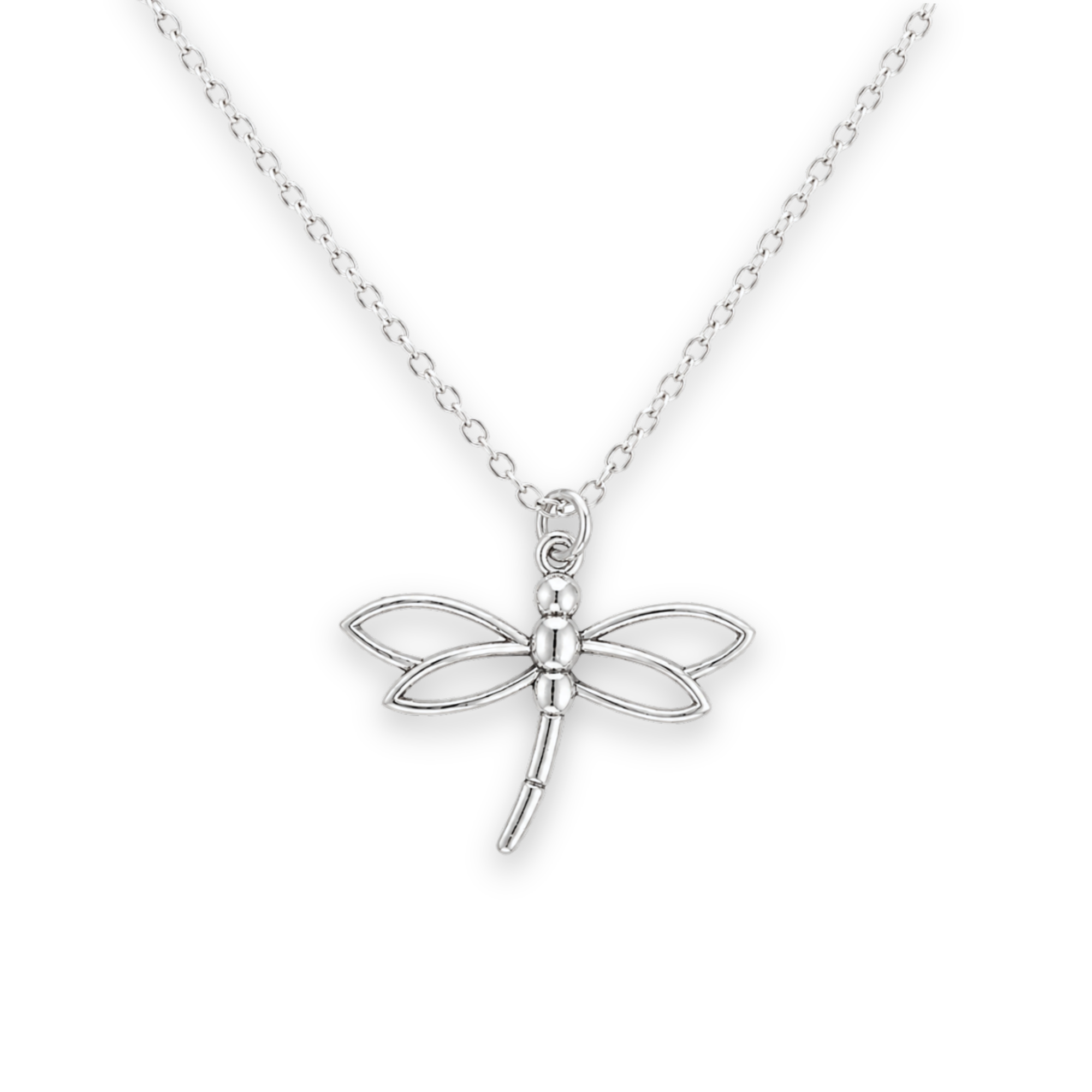 Silver Dragonfly